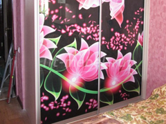 Шкаф-купе с розовыми цветами и бабочкой