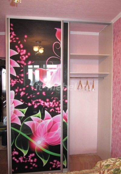 Шкаф-купе с розовыми цветами и бабочкой